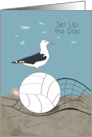 Volleyball Seagull Encouragement card