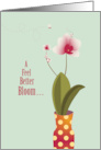 Feel Better Orchid Bloom card