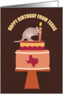 Armadillo and Lit Candle on Top of Cake card