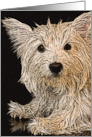 Westie Dog Gone it I Miss You card