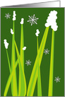 Grass and Snow card