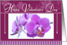 Burgundy Phalaenopsis Valentine’s Day card