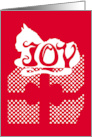 Cat Joy Package Christmas card