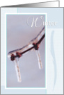 Ice Branch and Small Leaf Buds Winter Season card