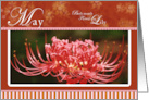 Spider Lily May Flower Birthday card