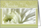Chrysanthemum November Birthday card