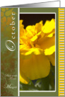 Marigold October Birthday card