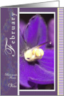 Violet Flower for February Birthday card