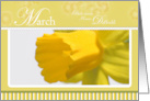 Daffodil Flower of the Month for March Birthdays card