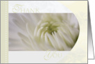 Chrysanthemum Flower Thank You card