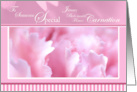 Pink Carnation Someone Special Birthday card