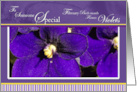 Bunch of Violets Someone Special February Birthday card