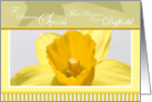 Daffodil March Birthday Someone Special card