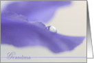 Iris Flower for Grandma on Mother’s Day card
