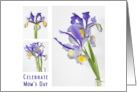 Iris Florals to Celebrate Mom’s Day card