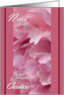 Carnation Birth Month Flower for January card