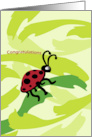 Lady Bug Congratulations card