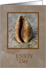 Friend Enjoy the Day Encouragement card