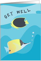 Tropical Reef Fish Get Well card