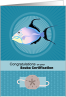 Queen Trigger Fish Scuba Certification Congratulations card