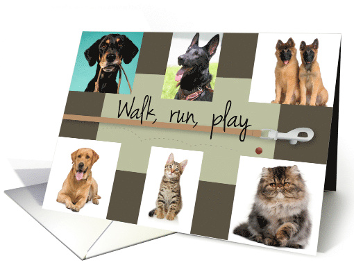 Walk Run Play Father's Day From Pets card (1519384)