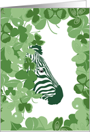 St. Patrick’s Day Zebra Wildly Lucky Shamrocks card