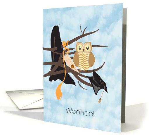 Owl on Branch with Graduation Robe and Degree Congratulations card