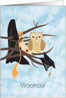 Owl on Branch with Graduation Robe and Degree Congratulations card