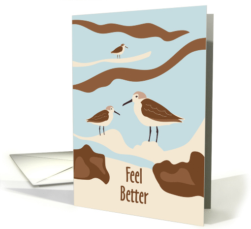 Sandpipers on Beach Feel Better Get Well card (1739260)