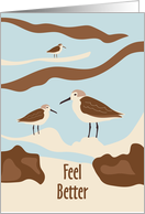 Sandpipers on Beach Feel Better Get Well card
