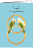 Wedding Parakeets Sitting on Rings Congratulations card