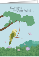 Swinging Parakeet Get Well card