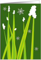 Grass and Snow card