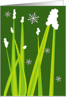 Grass and Snow