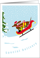 Dachshund Dog Happy Holidays card