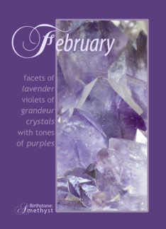 February Birthstone...