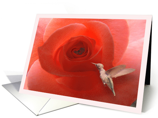 Rose Hummingbird Happy Birthday card (746623)