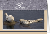 Couple of Seals Smile Encouragement card