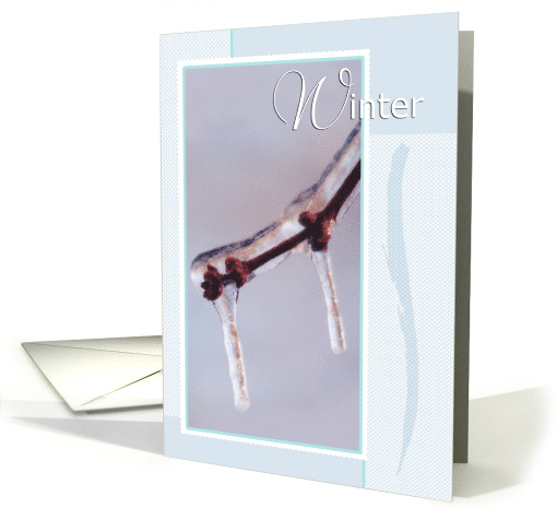 Ice Branch and Small Leaf Buds Winter Season card (752771)