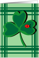 Lady Bug Shamrock card