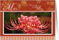 Spider Lily May Flower Birthday card