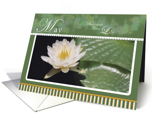 Water Lily May Birthday card (771082)