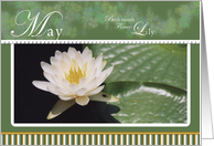 Water Lily May Birthday card