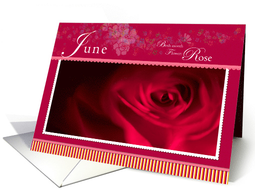 Rose Bud for June Birthday card (771084)