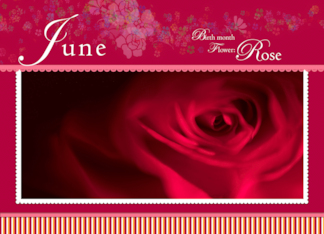 Rose Bud for June...