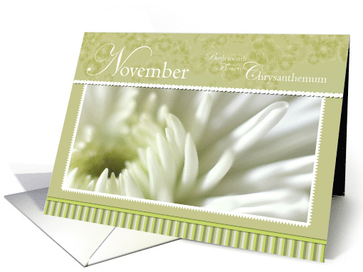 Chrysanthemum November Birthday card (771088)