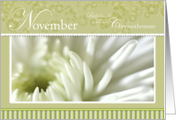 Chrysanthemum November Birthday card