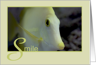 Yellow Tang Fish Smile and Encouragement card