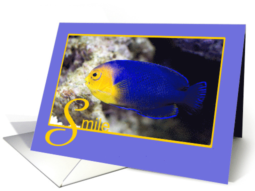 Cherub Fish Smile and Encouragement card (776333)