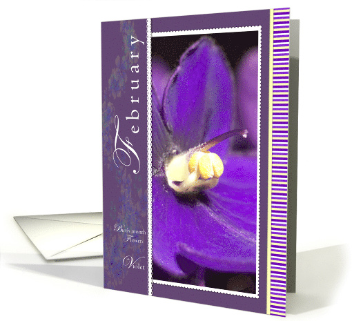 Violet Flower for February Birthday card (786876)